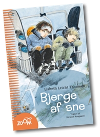 Bjerge af sne