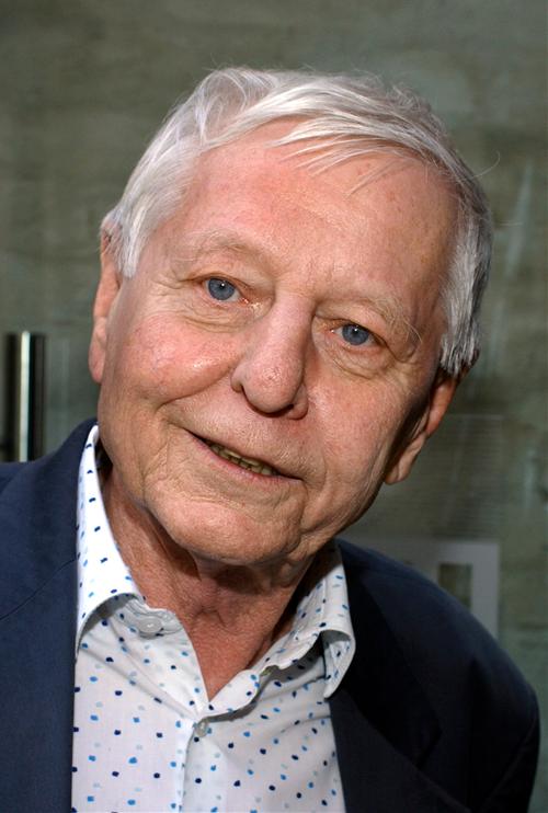 Hans Magnus Enzensberger